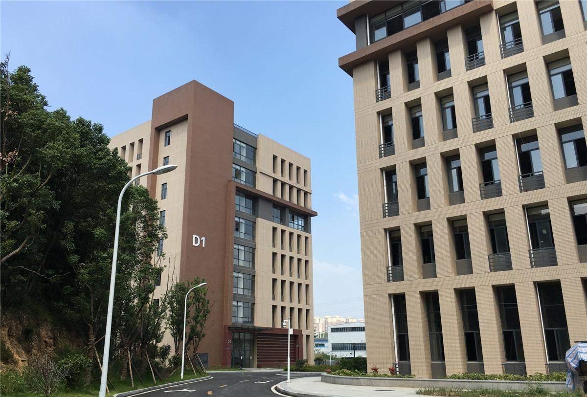 上海服務公司上海普陀區廠房|辦公室裝修工程